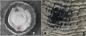 Nucleación de arena en crestas dentro de un cráter en la cuenca Schiaparelli de Marte y detalle.