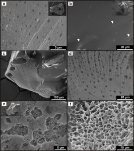 Imágenes de microscopio electrónico de barrido donde se muestran detalles de la superficie de los vitroclastos.