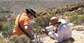 Identificación de trazas fósiles en depósitos del Cretácico de la Cuenca Neuquina