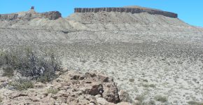 Afloramientos de la Formación Agrio en la clásica localidad de Cerro Mesa, centro de Neuquén