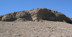 Concentración fósil de ostras. Vista en corte transversal. Formación Agrio, Miembro Pilmatué, Hauteriviano temprano. Localidad: Bajada Vieja, Neuquén.