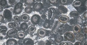 Microfacies de grainstone oolítico.