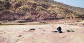 Trabajos de excavación en los depósitos de planicie de la Fm. Omingonde (Triásico Medio, Cuenca del Karoo, Namibia)