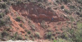 Afloramientos de la Fm. Río Seco de la Quebrada (Triásico Inferior-Medio, Cuenca de San Rafael, sur de Mendoza)