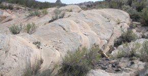 Huellas de tetrápodos en facies de interduna en niveles de la Fm. Yacimiento los Reyunos (Cisuraliano, Cuenca de San Rafael, sur de Mendoza).