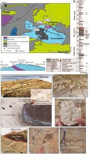 Mapa y sección esquemática del anticlinal Los Juncos y de los estratos albianos.