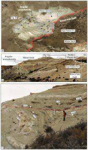 Estratos de crecimiento en depósitos albianos mostrando actividad sintectónica.