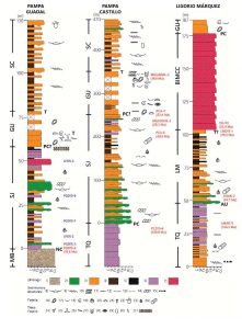 Columnas estratigráficas de las secuencias sedimentarias estudiadas,