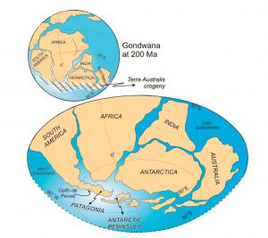 Reconstrucción paleogeográfica de la Cordillera Patagónica y la Península Antártica para el Triásico.