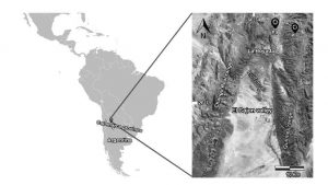 Ubicación de los fósiles estudiados en el Valle Medio del Magdalena, Colombia, al occidente de la Cordillera Oriental.