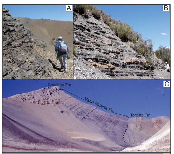 Fotos de campo de la Formación Vaca Muerta en Cordón del Burrero, Mallín de los Caballos (Sierra de la Vaca Muerta) y La Muralla (Altos Andes)