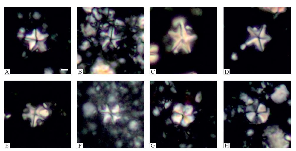 Nanofósiles calcáreos de la sección de Feodosiya, Crimea