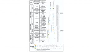 Distribución estratigráfica de las acumulaciones de ostras del Grupo Mendoza