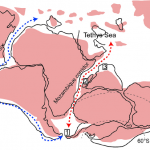 La evidencia definitiva de ictiosaurios antárticos del Jurásico Superior y sus rutas de dispersión