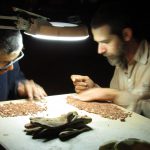 Bitácora de viaje: Talampaya – parte 2 de 2