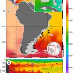 Nuevos conocimientos sobre la paleotermometría bentónica del Atlántico sudoccidental en base a Mg/Ca