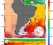 Nuevos conocimientos sobre la paleotermometría bentónica del Atlántico sudoccidental en base a Mg/Ca