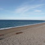 Explorando las huellas del tiempo en las playas de Puerto Lobos, Chubut: un viaje a través de la bioerosión cuaternaria
