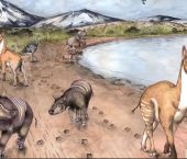 ¿Qué nos enseñan las huellas fósiles sobre la locomoción de los animales extintos?
