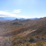 Un verde y frondoso bosque triásico en el corazón de la árida Precordillera de Mendoza