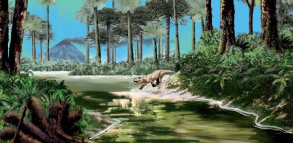 Entre gigantes y pequeños: una mirada a la paleocomunidad de tetrápodos triásicos de la Cuenca Cuyana